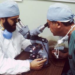 Tow researchers looking into a microscope.